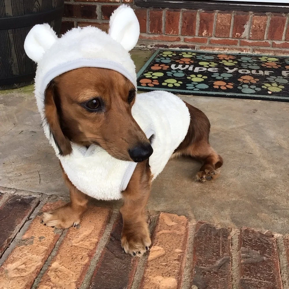 Cute Adorable Funny Fuzzy Bear Dog Pet Costume Hooded Fleece Sweater